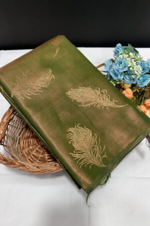 Borderless tissue saree