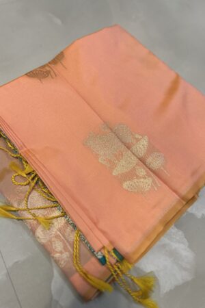 Parampara soft silk
