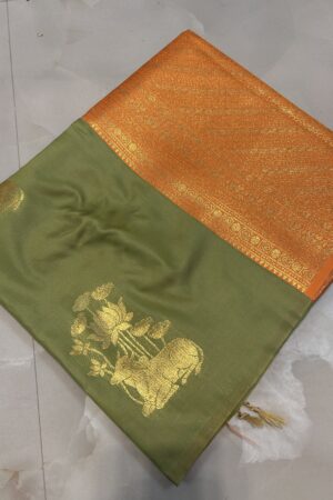 Parampara soft silk