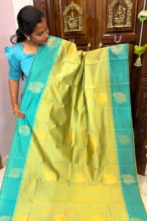 Soft Pochampally Kora Muslin color